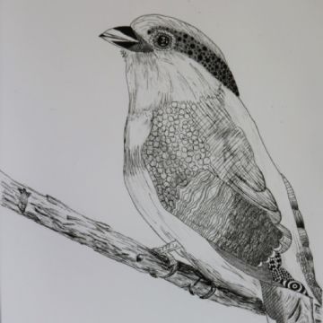 Beatrice S bird drawing